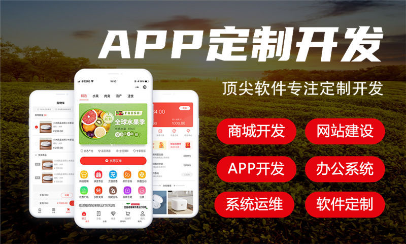 河北分销商城系统开发助力企业突破困境实现快速增长