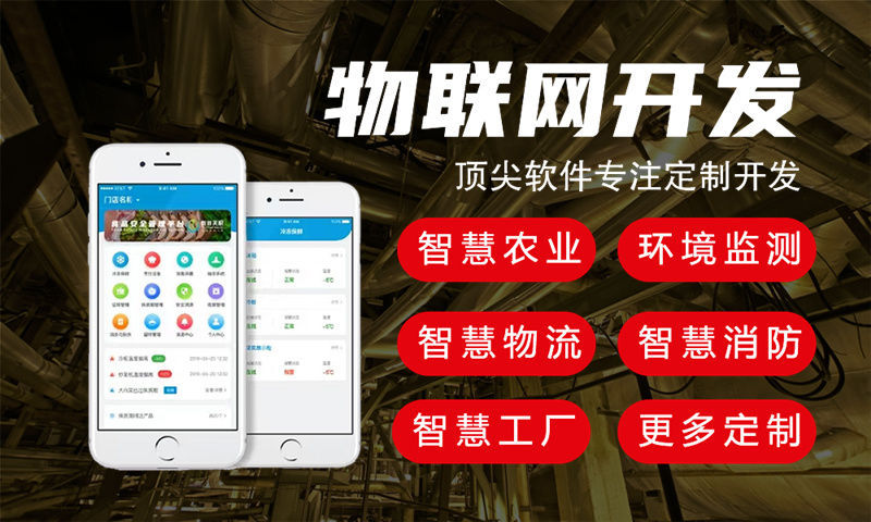 黑龙江物联网系统开发解决方案:多场景智能监测与控制功能计划书