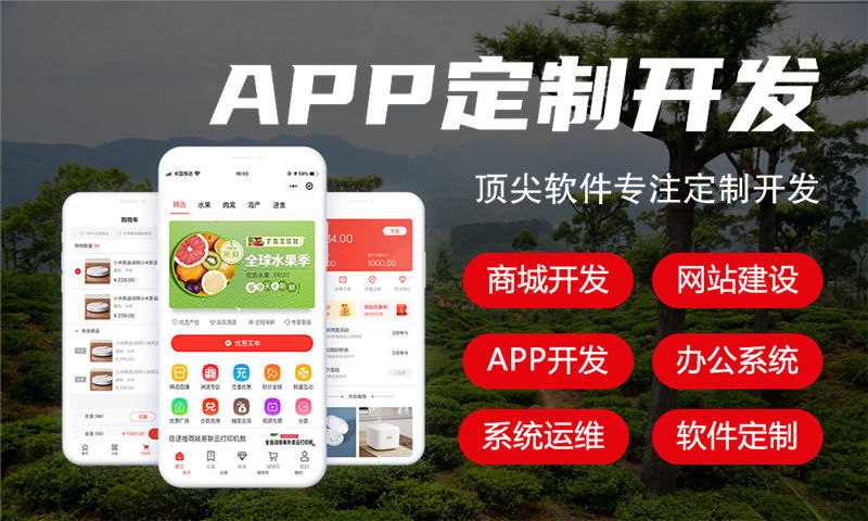 南京金融系统开发解决方案:基于软件定制开发与外包服务的全流程功能设计与技术实现