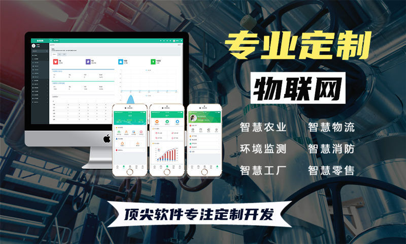 南京物联网系统开发综合解决方案:涵盖水质、油烟、河道、交通、安防与智能家居的全流程功能设计与技术实现