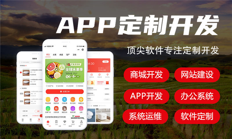 河北物流系统开发解决方案:基于软件定制开发的全流程功能规划与技术实现